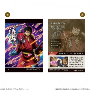 One Piece ワンピース アニメイト