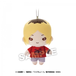 ハイキュー ハイキュー To The Top アニメイト