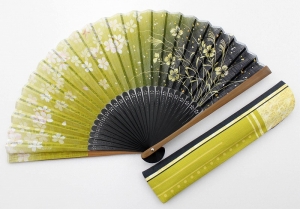 Ns 薄桜鬼 真改 黎明録 限定版 アニメイト