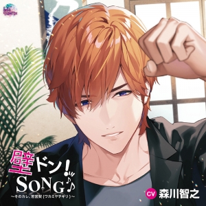 アニメイト 特典ディスク 夕日を浴びて