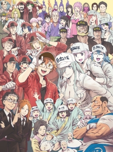 はたらく細胞black アニメイト