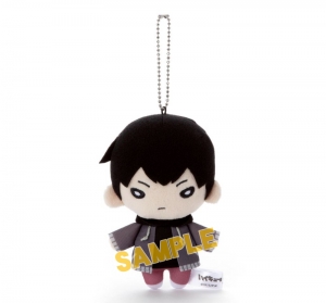 ハイキュー 検索結果 アニメイト