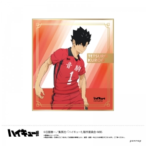 ハイキュー ハイキュー To The Top アニメイト