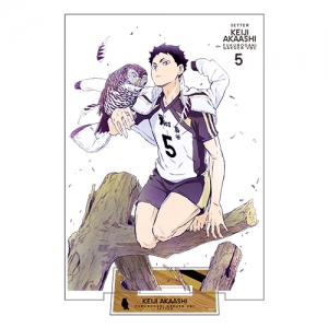 ハイキュー ハイキュー To The Top アニメイト