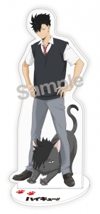 ハイキュー 検索結果 アニメイト