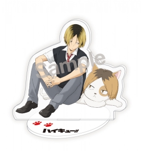 ハイキュー ハイキュー To The Top アニメイト