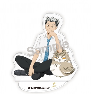 ハイキュー 検索結果 アニメイト