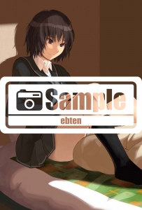 コミック アマガミ Precious Diary 2 アニメイト