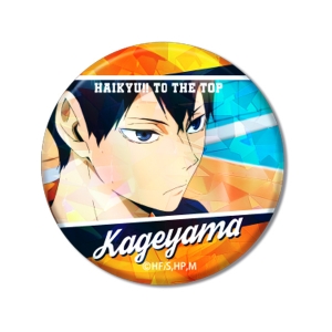 グッズ カバーホルダー ハイキュー スマホハードケース Iphone11pro A 烏野 アニメイト