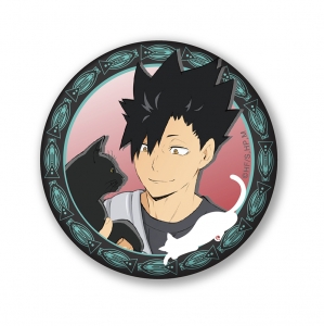 ハイキュー 検索結果 アニメイト