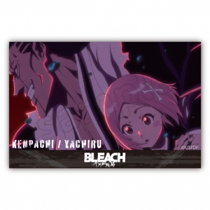 グッズ-スタンドポップ】BLEACH BIGアクリルスタンド 四楓院夜一 