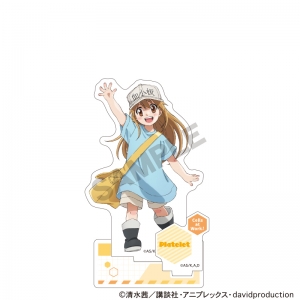 はたらく細胞 アクリルスタンド」検索結果 | アニメイト