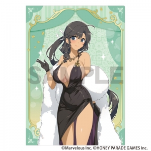 グッズ-タペストリー】閃乱カグラ 描き下ろし等身大タペストリー 