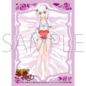 OSICA ハイスクールd×d あつ サイン 直筆 当選品 小猫 psa10