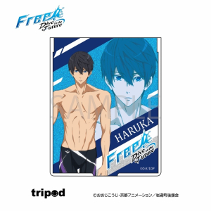 キャラクターソング Tv アニメ Free デュエットシングル Vol 1 七瀬 遙 Cv 島﨑信長 橘 真琴 Cv 鈴木達央 アニメイト