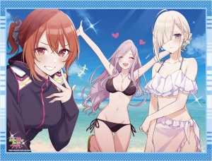 小説 友達の妹が俺にだけウザい 3 アニメイト