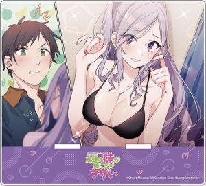 小説 友達の妹が俺にだけウザい 3 アニメイト