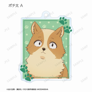 Blu-ray】TV 犬になったら好きな人に拾われた。上巻 初回生産限定版 