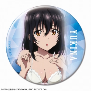 Blu Ray ストライク ザ ブラッドfinal Ova Vol 1 初回仕様版 アニメイト