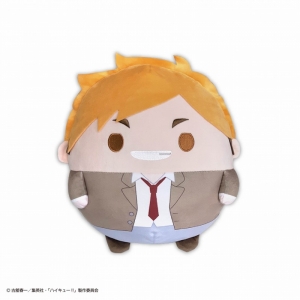 ハイキュー ふわコロりんBIG」検索結果 | アニメイト