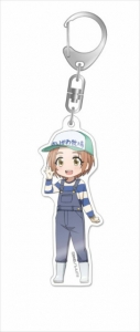 グッズ ぬいぐるみ アイドルマスター シンデレラガールズ ちょこマス 龍崎 薫 アニメイト