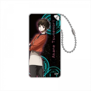 グッズ キーホルダー Psycho Pass サイコパス 3 デカキーホルダー 常守朱 アニメイト