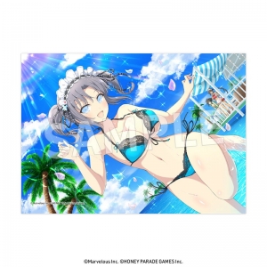 グッズ-ポスター】閃乱カグラ A3判クリアポスター 斑鳩 ver. | アニメイト