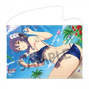 シノビマスター 閃乱カグラ NEW LINK B2タペストリー」検索結果 
