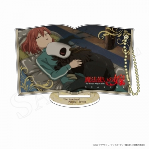 Blu-ray】TV 魔法使いの嫁 SEASON1 Blu-ray BOX 数量限定生産 | アニメイト