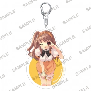 主題歌 Tv 涼宮ハルヒの憂鬱 Op 冒険でしょでしょ 平野 綾 アニメイト