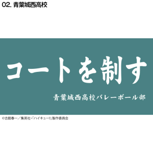 ハイキュー!! 横断幕バスタオル」検索結果 | アニメイト