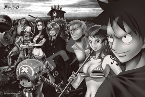 One Piece ワンピース アニメイト