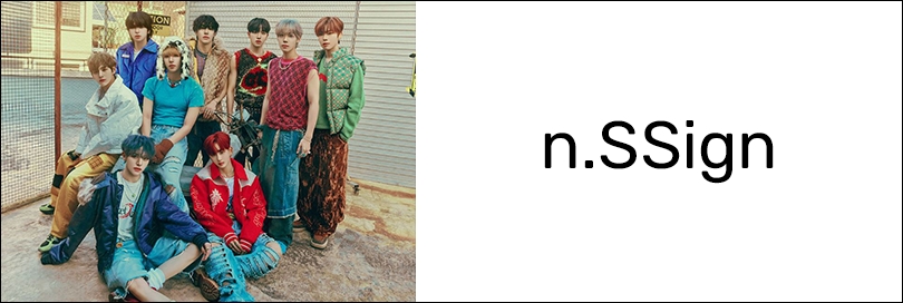 n.SSignのバナー画像