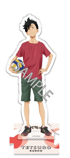 ハイキュー ハイキュー To The Top アニメイト