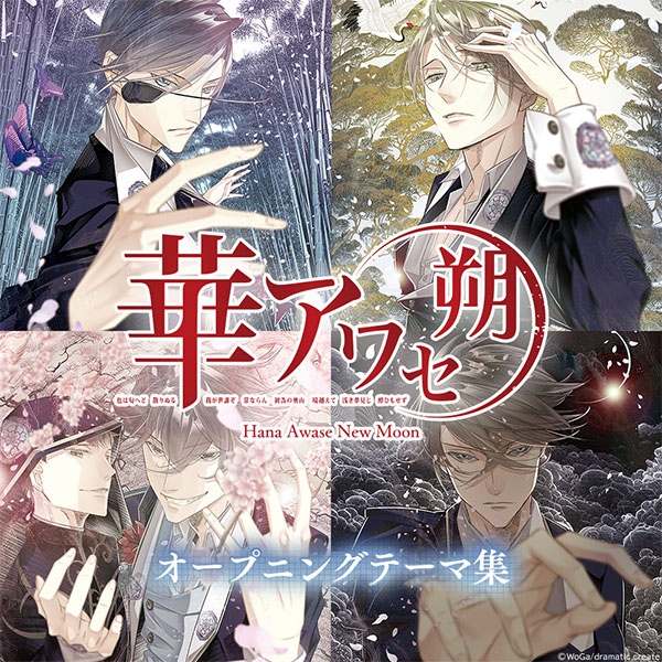 華アワセ 紛らわしい ビッグミラー