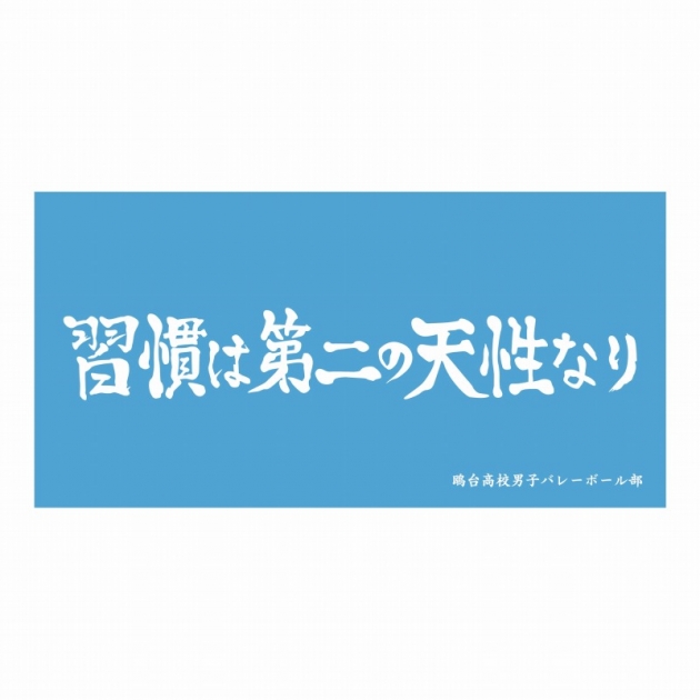 【グッズ-タオル】ハイキュー!! 横断幕ビッグタオル 鴎台高校【再販】

