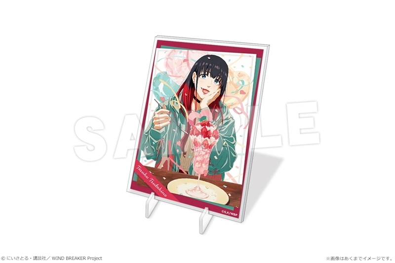 【グッズ-スタンドポップ】TVアニメ『WIND BREAKER』 パネルスタンドmini 10 椿野 佑【再販】
