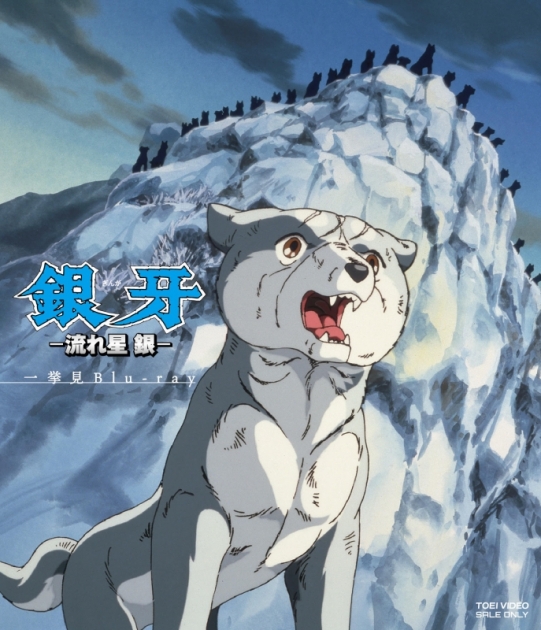 堀秀行 アニメイト