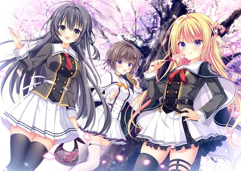 D.C.5ダ・カーポ5プラスハピネスソフマップLIMITED いじらしく EDITION特典