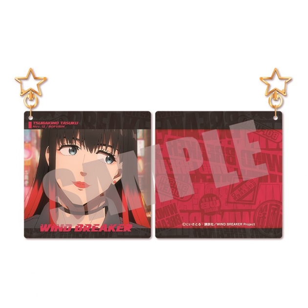 【グッズ-キーホルダー】WIND BREAKER アクリルキーホルダー 椿野佑 作中場面写ver. vol.2
