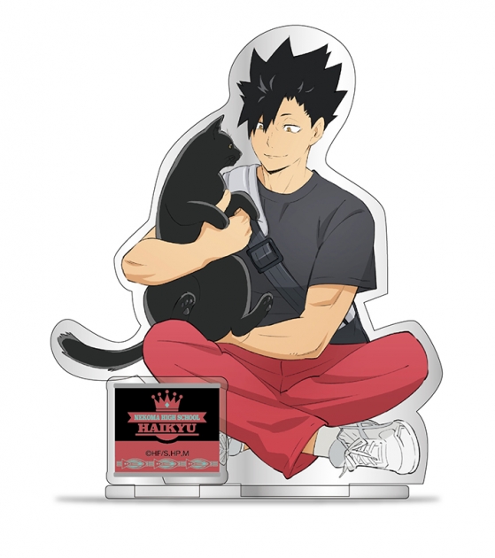 ハイキュー ハイキュー To The Top アニメイト