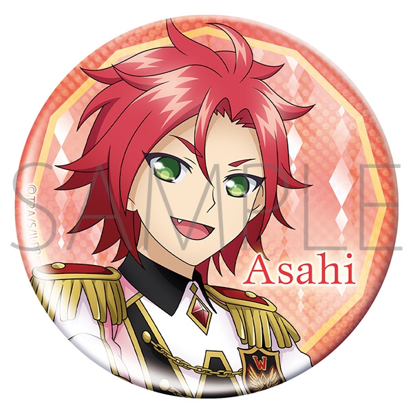 アイドルランドプリパラ アニメイト