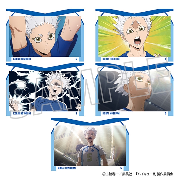 【グッズ-ポストカード】ハイキュー!! ポストカードセット/星海光来
