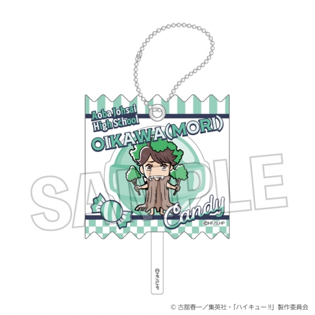 【グッズ-キーホルダー】ハイキュー!! ラッピングアクリルキーホルダー オイカワ(森)
