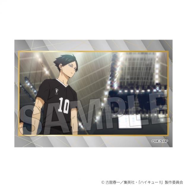 【グッズ-スタンドポップ】ハイキュー!! スタパネ ミニ vol.9 27
