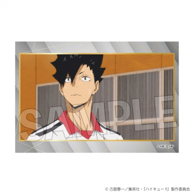 【グッズ-スタンドポップ】ハイキュー!! スタパネ ミニ vol.9 30
