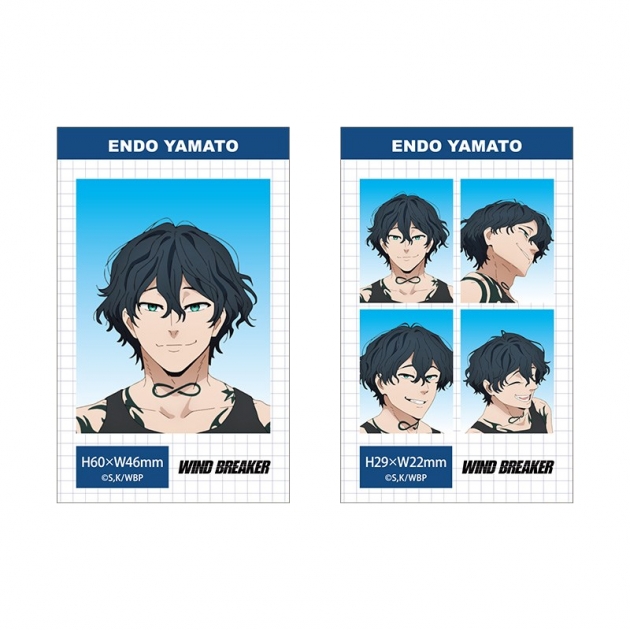 【グッズ-ブロマイド】WIND BREAKER 証明写真風ブロマイドセット【棪堂哉真斗】
