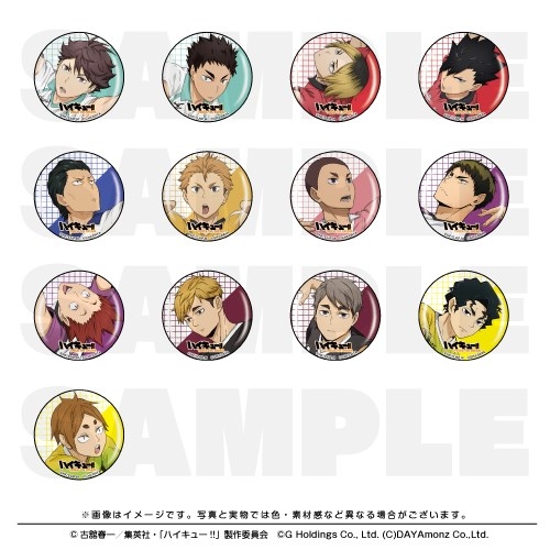 【グッズ-バッチ】ハイキュー!! TOUCH THE DREAM 缶バッジコレクションB【全13種】
