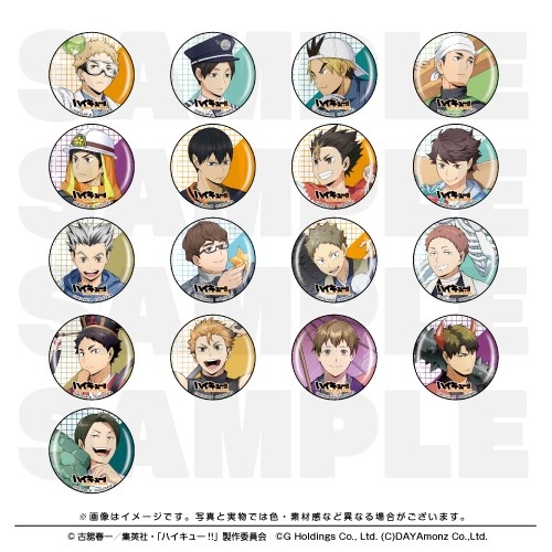 【グッズ-バッチ】ハイキュー!! TOUCH THE DREAM 缶バッジコレクションC【全17種】
