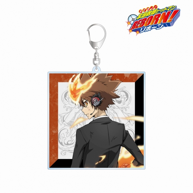 家庭教師ヒットマン Reborn かてきょーヒットマン リボーン アニメイト